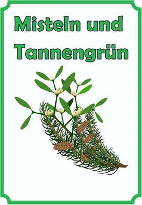 Produktbild von Misteln und Tannengrün Schild Hochkant A0 Rückseite selbstklebend