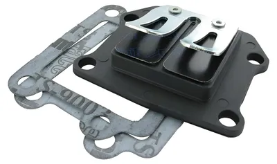 Image de Bloc membrane Polini, membranes en carbone, pour Yamaha BWS 50 NG, modèles jusqu'à l'année 1999