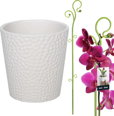 Productafbeelding van KOTARBAU® Bloempot, wit keramiek geglazuurd, 11 cm, met plantensteun, groen pvc, 58 cm, orchideeėnpot, keramiek met bloemensteun, klimhulp, plantenpot, orchideeėnstaaf, steunstaaf, decoratieve