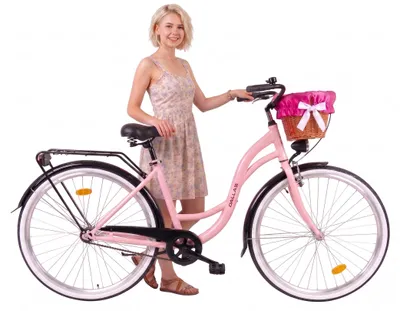 Produktbild von Dallas Bike Damenfahrrad 26 Zoll - Mit Weidenkorb - 1-Gang Rücktritt - Rahmen M 17" - Rosa-Schwarz