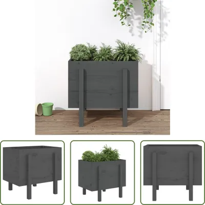 Produktbild von The Living Store Pflanzkübel Grau 62x50x57 cm Massivholz Kiefer