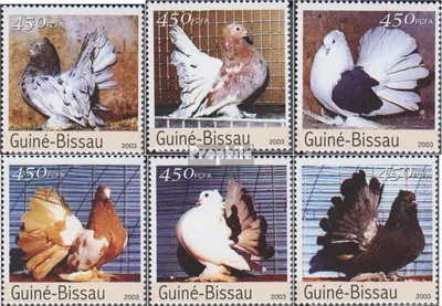 Produktbild von Briefmarken Guinea-Bissau 2003 Mi 2476-2481 (kompl.Ausg.) postfrisch Rassetauben