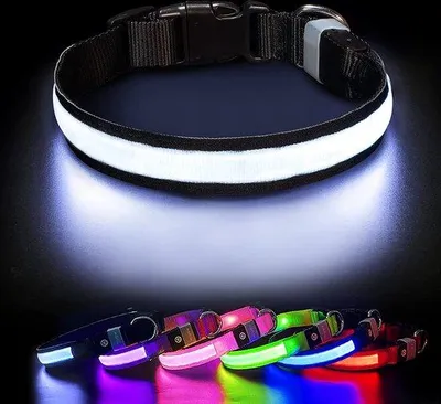 Produktbild von Hundeleuchte Halsband mit Licht für Spaziergänge