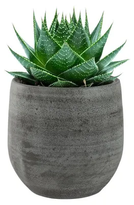 Produktbild von Steege Pflanzentopf/Blumentopf - Keramik - grau - 15 x 13 cm