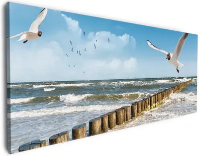 Produktbild von Wallario Premium Leinwandbild Fliegende Möwe am Strand in Größe 60 x 150 cm