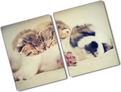Produktbild von Tulup Glas Herdabdeckplatte - 2x40x52 cm - Glaskeramikkochfeld-Abdeckung Spritzschutz Glasabdeckplatte Kochplattenabdeckung und Schneidebrett - Zweiteilig - Tiere - Katzen und Hund - Braun