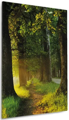 Produktbild von Wallario Premium Leinwandbild Allee bei Sonnenuntergang in Größe 60 x 90 cm