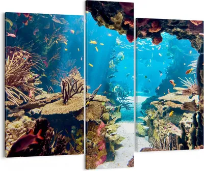 Produktbild von Bild auf Leinwand - Leinwandbild - Ozean Riff Fische Koralle - 95x80cm - Wand Bild - Wanddeko - Leinwanddruck - Bilder - Kunstdruck - Wanddekoration - Leinwand bilder - Wandkunst - CB95x80-2872