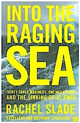 Imagen del producto de Into the Raging Sea