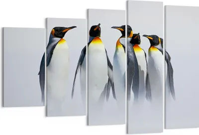 Produktbild von Bild auf Leinwand - Leinwandbild - Pinguine Winter Schnee Spaziergang - 150x100cm - Wand Bild - Wanddeko - Leinwanddruck - Bilder - Kunstdruck - Leinwand bilder - Wandkunst - EG150x100-2893