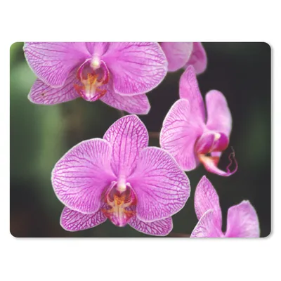 Produktbild von MuchoWow® Mauspad Mousepad Rosa Orchidee 23x19 cm - Mousepads - Maus Mat - Pad - Mausunterlage - Schreibtischunterlage - Mauspad