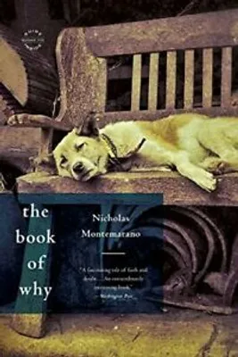 Obrázok produktu pre The Book of Why