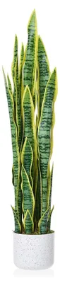 Obrázok produktu pre Umelo vyzerajúca rastlina Sansevieria, známa ako "svokrin jazyk" - vysoká umelá rastlina, 90 cm - realistické listy - s bielym kvetináčom - izbová rastlina vhodná do interiéru, kancelárie alebo bytu