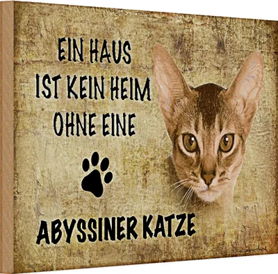 Produktbild von Holzschild Spruch 30x20cm Abyssiner Katze ohne kein Heim