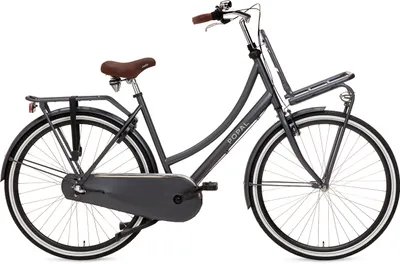 Produktbild von Popal Daily Dutch Basic+ N3 Hollandrad - Citybike - Damen - 47 centimeter - Petrolblau