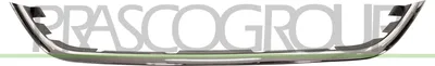 Produktbild von PRASCO Kühlergrill-Zierleiste DS0152206 für NISSAN MICRA IV (K13)
