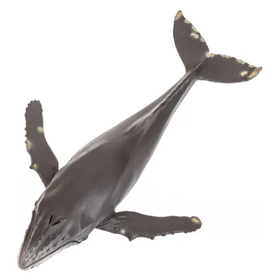 Image de Mojo Sealife Baleine à bosse Grand 387277