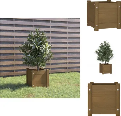 Obrázok produktu pre vidaXL Kvetináč medovo hnedý 31x31x31 cm z masívneho borovicového dreva - Kvetináče a sadenice