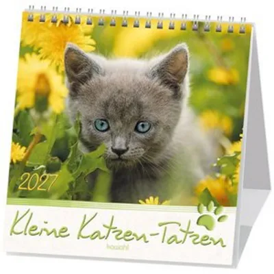 Image de Petites pattes de chat, 2027