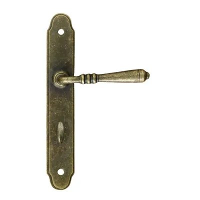 A door handle set with a long backplate, shown against a white background.