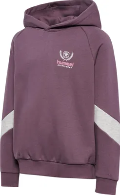 Immagine prodotto di Hummel Hmljr Felpa con cappuccio Bts - reflecting pond, taglia: 146/2