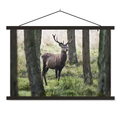 Produktbild von MuchoWow® Textilposter Hirsche - Bäume - Gras 60x40 cm mit schwarzem Rahmen - Hölzernes
