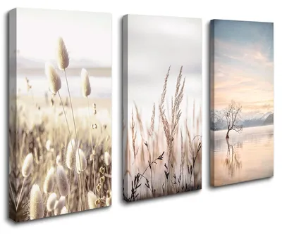 Produktbild von 4426 Leinwandbild Boho Pampasgras 120x80 cm