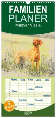 Produktbild von Familienplaner 2027 - Magyar Vizsla 2027 mit 5 Spalten (Wandkalender, 21 x 45 cm) CALVENDO