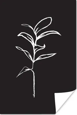 Produktbild von MuchoWow® Poster Pflanze - Schwarz - Weiß - Strichzeichnung 60x90 cm - Wanddekoration