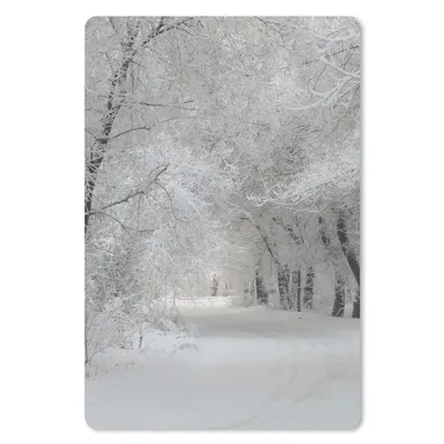 Produktbild von MuchoWow® Mauspad Mousepad Bäume - Schnee - Winter 18x27 cm - Mousepads - Maus Mat - Pad - Mausunterlage