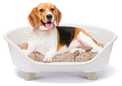 Imagen del producto de Cama para perros Ferplast