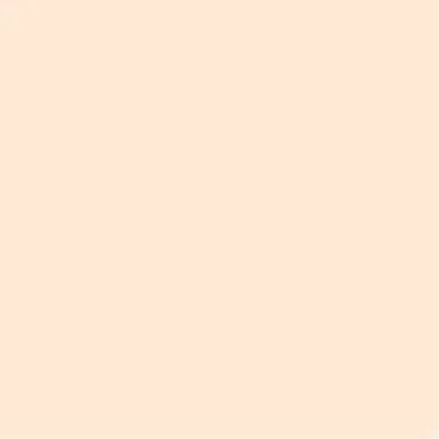 Produktbild von folia 6443 Tonpapier, DIN A4, 130 g/qm, Haut