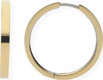Produktbild von Boccia Titan Creolen Gold plattiert 0517-10