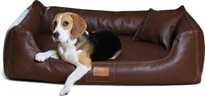 Produktbild von tierlando® Orthopädisches Hundebett Maddox Kunstleder Hundesofa Mittelgroß Große Hunde Hundesofa XL XXL - Größe: 120x85cm | Farbe: 01 Braun