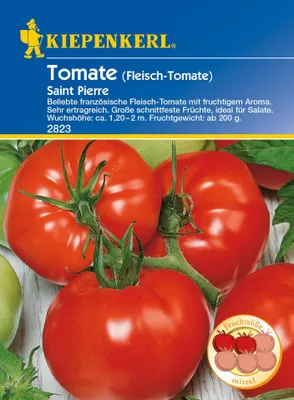 Produktbild von Fleischtomate Saint Pierre | Fleischtomatensamen von Kiepenkerl