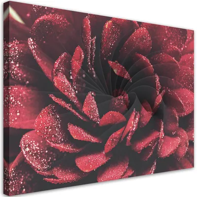 Produktbild von Leinwandbild Makro-Blume 120x80 Feeby Rot bild für die wand bereit zum aufhängen