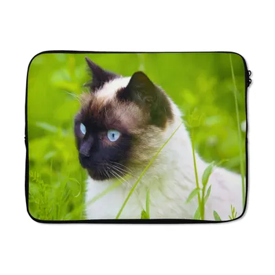 Produktbild von MuchoWow® Laptop Hülle 15 Zoll Siamesische Katze im Gras Laptoptasche - Laptoptasche - Sleeve - Rundum-Schutz