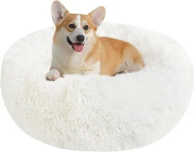 Produktbild von Famanu Katzenbett Faltbar - Weich, Plüsch, für Katzen oder kleine Hunde