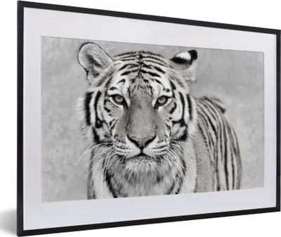 Produktbild von MuchoWow® Gerahmtes Poster Tiger - Natur - Schwarz - Weiß 60x40 cm - Poster mit Schwarzem Bilderrahmen Wandposter Rahmen Foto Bilder - Schlafzimmer - Plakat in Rahmen - Drucken