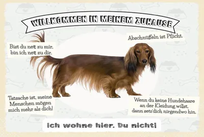 Produktbild von vianmo Holzschild 12x18 cm Tiere Hund ich wohne hier du nicht