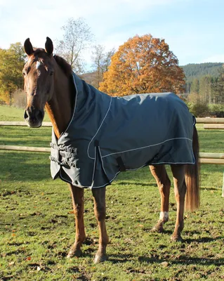 Produktbild von PFIFF Winterdecke ´Stebbins´ grau 135