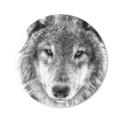 Produktbild von MuchoWow® Mauspad Mousepad Tierprofil Wolf in schwarz und weiß 40x40 cm - Mousepads - Maus Mat - Pad - Mausunterlage - Schreibtisch Accessoires