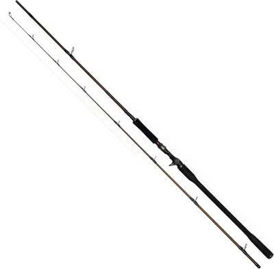 Zdjęcie produktu dla Westin W4 Powershad-T 2nd 2,55m 3XH 60-180g Baitcastrute