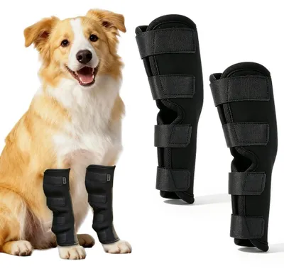 Immagine prodotto di Fasce di supporto articolare regolabili per cani, confezione da 2