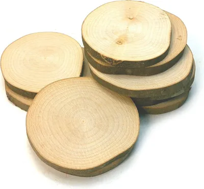 Produktbild von 10 Baumscheiben Ahorn Holzscheiben Astscheiben Bastelholz 9-11 cm