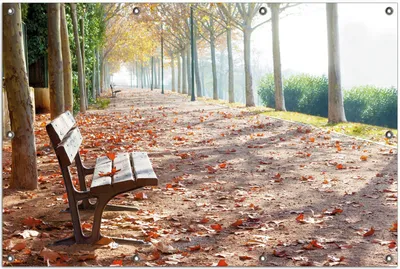Produktbild von Wallario Outdoor-Poster für Garten oder Balkon, Motiv Einsame Parkbank an einer Allee - Herbststimmung, in ca. 100 x 150 cm