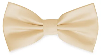 Produktbild von Ladeheid Elegante Herren Fliege - Hochwertig Matt Verstellbar BMM (12cm x 6cm)