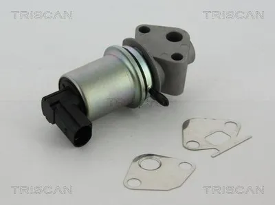 Produktbild von TRISCAN 8813 29004 AGR-Ventil mit Dichtungen für VW Golf IV Schrägheck (1J1) Abgasrückführungsventil