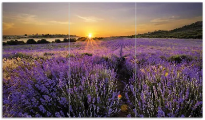 Produktbild von Wallario Herdabdeckplatte aus Glas, Größe 90 x 52 cm 3-teilig, Motiv Sonnenuntergang über dem Lavendel