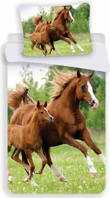 Obrázek produktu pro Oboustranné povlečení 140x200 cm - Hnědý kůň a hříbě